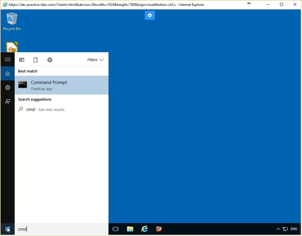 Figure 3.5 Screenshot of the PLABWIN10 desktop